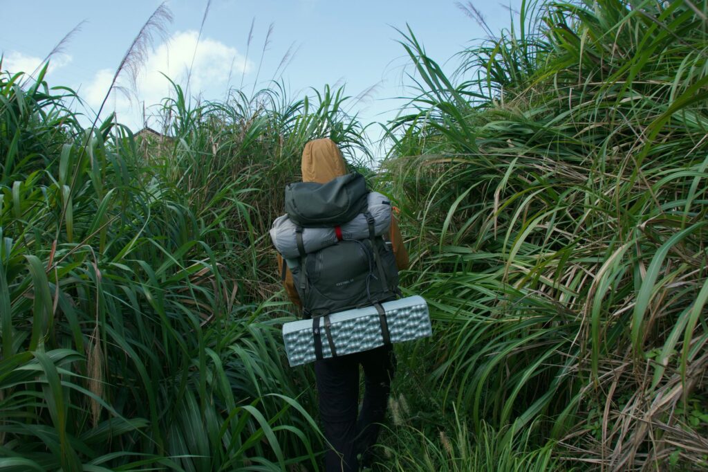 A lone hiker with a backpack traverses tall grass, symbolizing exploration and nature adventure.